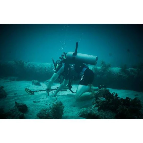 Minelab Pro-Find 35 Pinpointer - Image 7